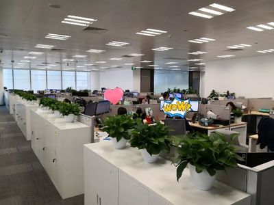 乔迁大吉！级掌柜新办公空间全面揭秘，科技与舒适完美融合